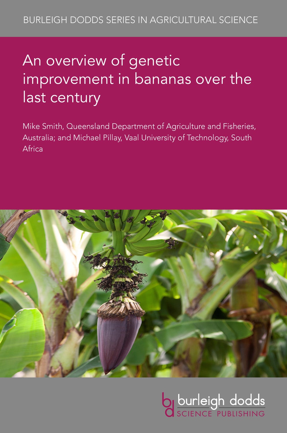 Book cover image for An overview of genetic improvement in bananas over the last century ISBN: 9781786769367